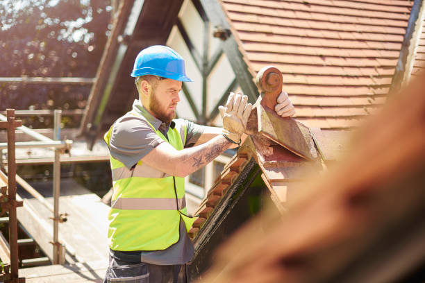 Best Gutter Installation and Roofing  in Huntingdon, TN